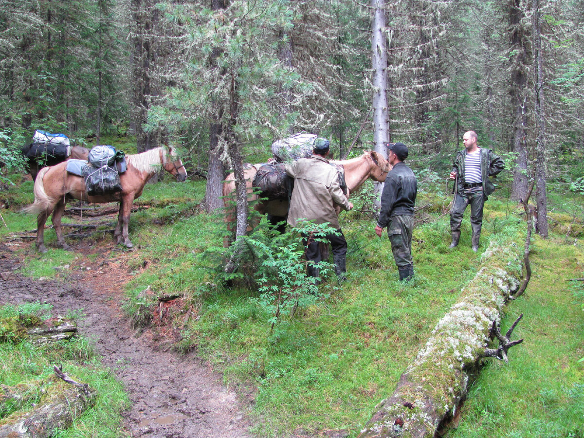 Приехали, перед разгрузкой.