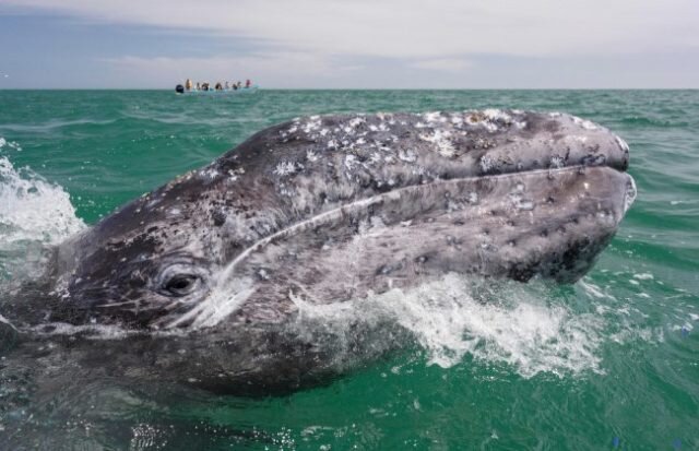 Источник: yandex.ru