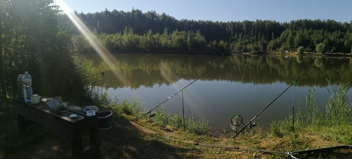 Один из платников подмосковья. фото автора