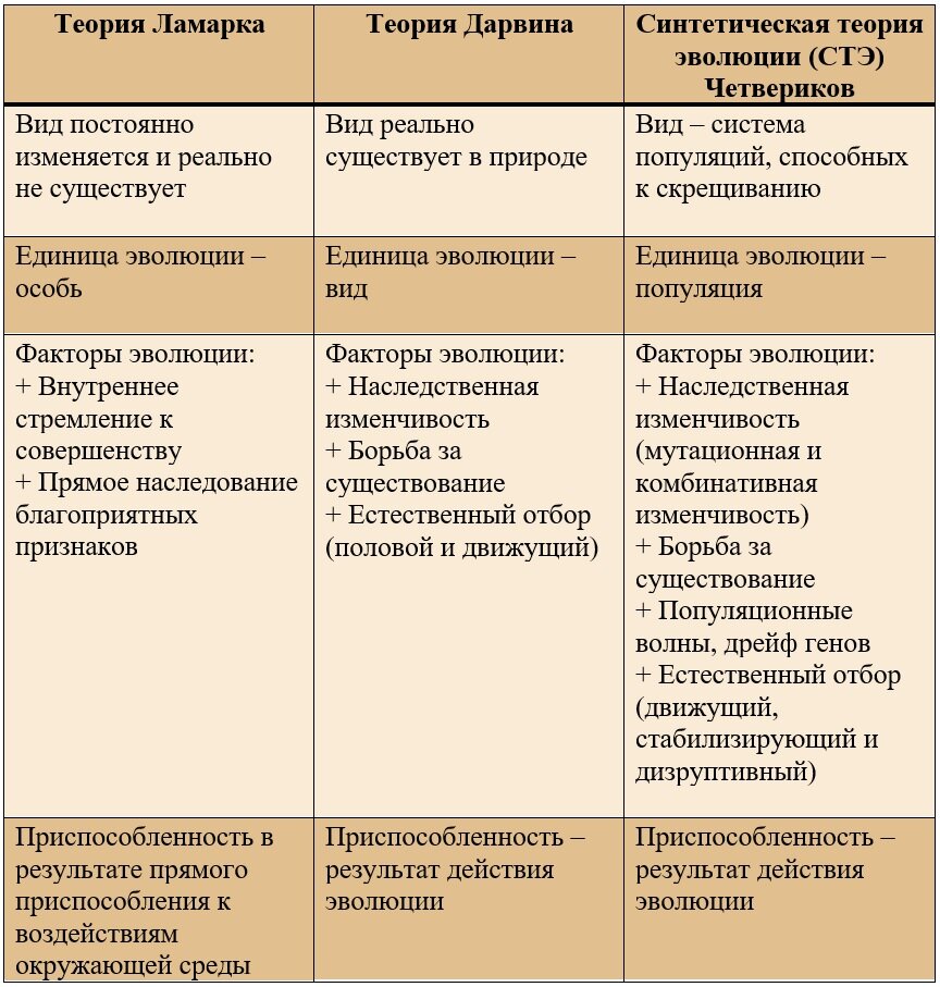 «Что означает понятие 