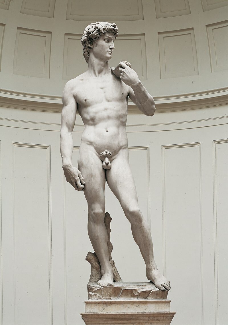 Давид Микеланджело портрет