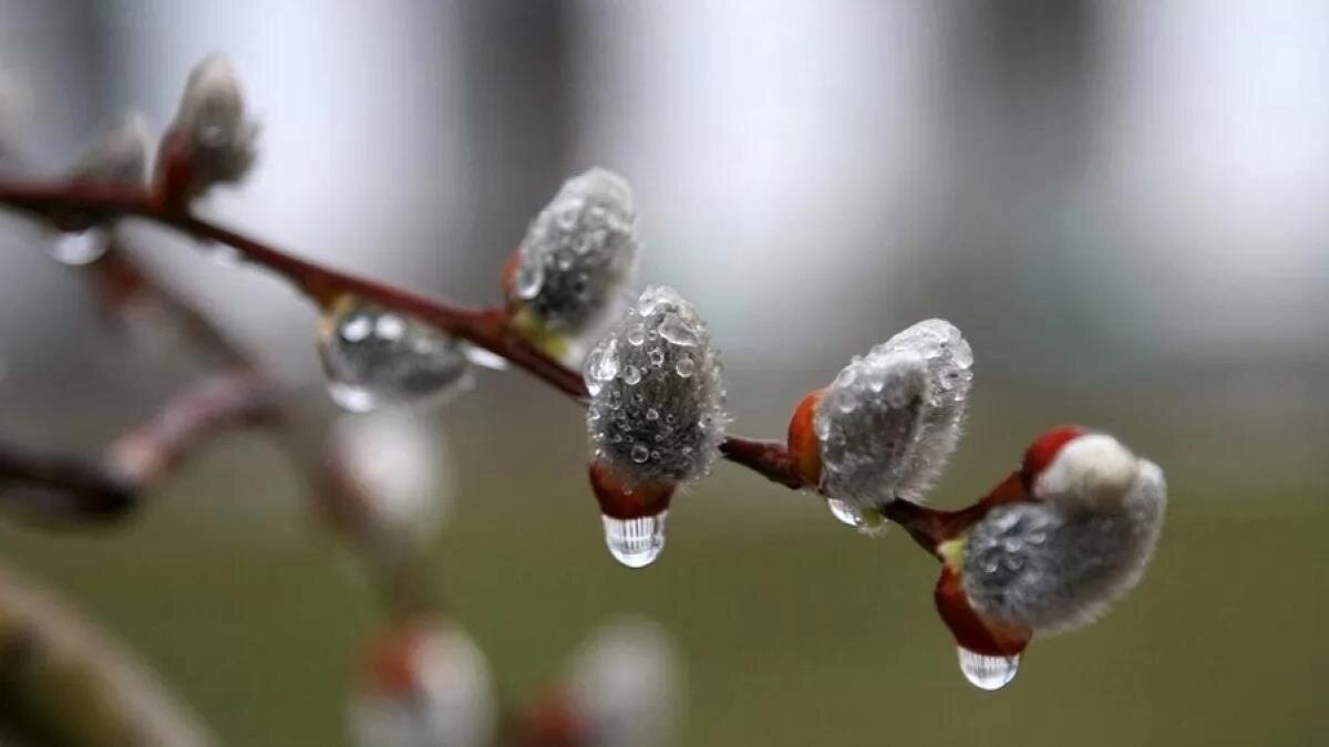 Фото — ukranews.com