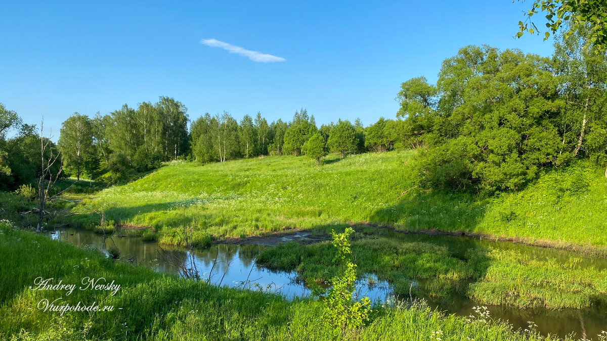 Река Бежка