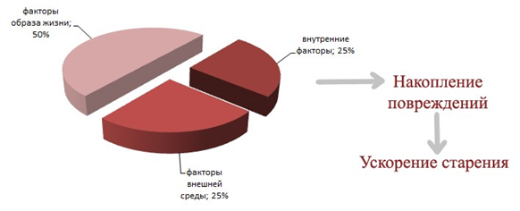 Моника Беллуччи прекрасно выглядит в любом возрасте
Старение считается естественным процессом. Уже после 30 лет начинает замедляться обмен веществ.-2