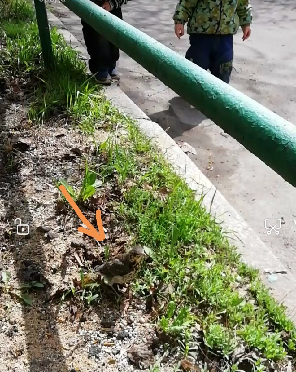 вот он сидит - виновник переполоха. Фото на память о подвиге. А на заднем плане героическая дочка и осторожный Димусик. 