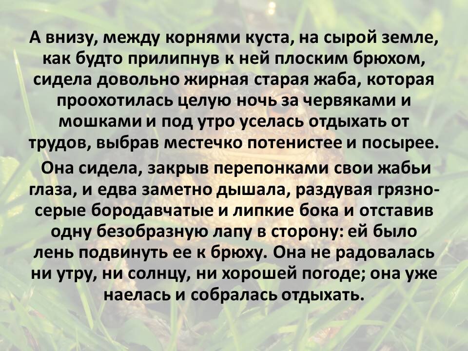 Всеволод Михайлович Гаршин. Сказка "О жабе и розе"