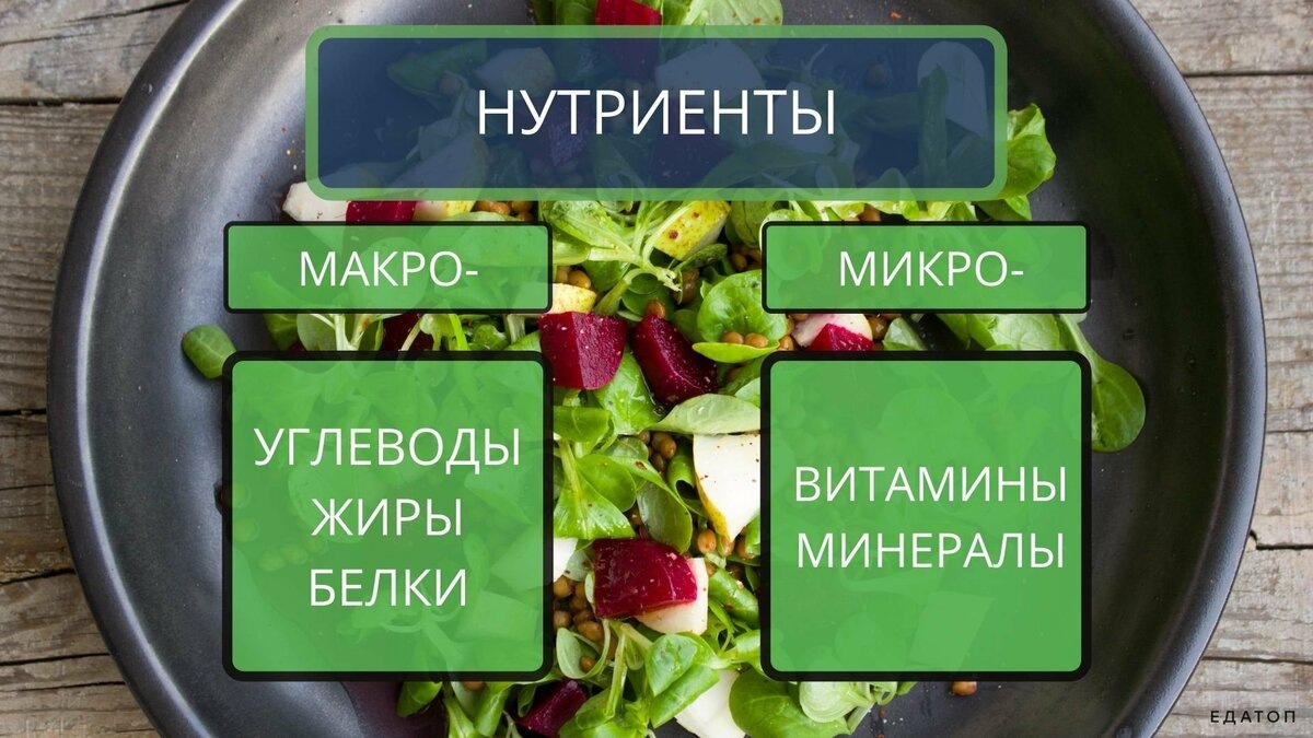 Что такое витамины, минералы, БЖУ и какова их роль в организме? Витамины  или нутриенты? | VseOvitaminah | Дзен