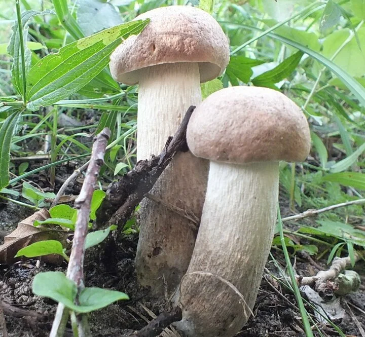 Фото Ирины Черпаковой