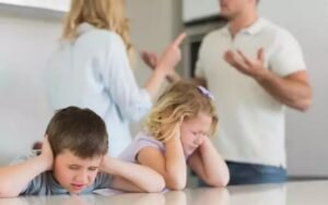 Все прекрасно понимают, что чем больше детей в семье, тем больше расходы на их содержание, питание и удовлетворение необходимых потребностей. Исходя из этого разрабатывалось и Семейное законодательство, которое четко предусмотрела размеры алиментных взысканий на разное количество детей.