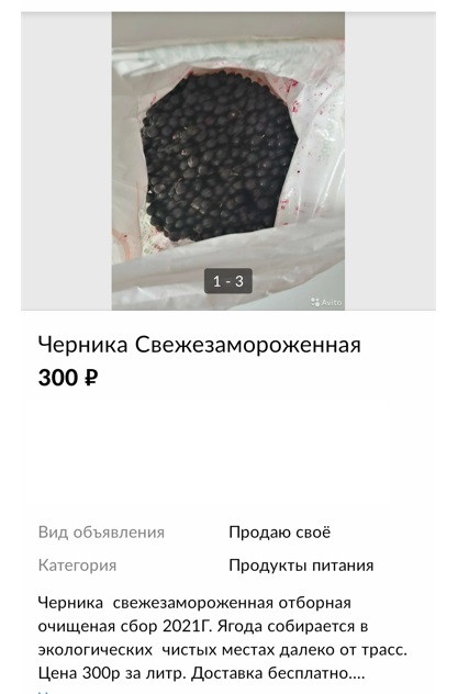 Сколько можно заработать на сдаче ягод и грибов в Карелии — совсем не те деньги, которые платят на работе6