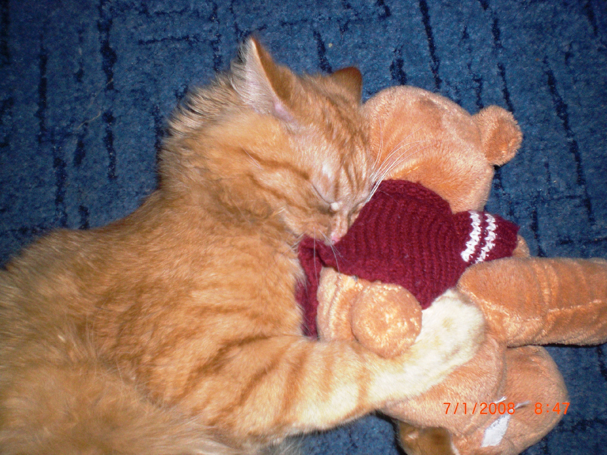 Спим с мишкой ^_^