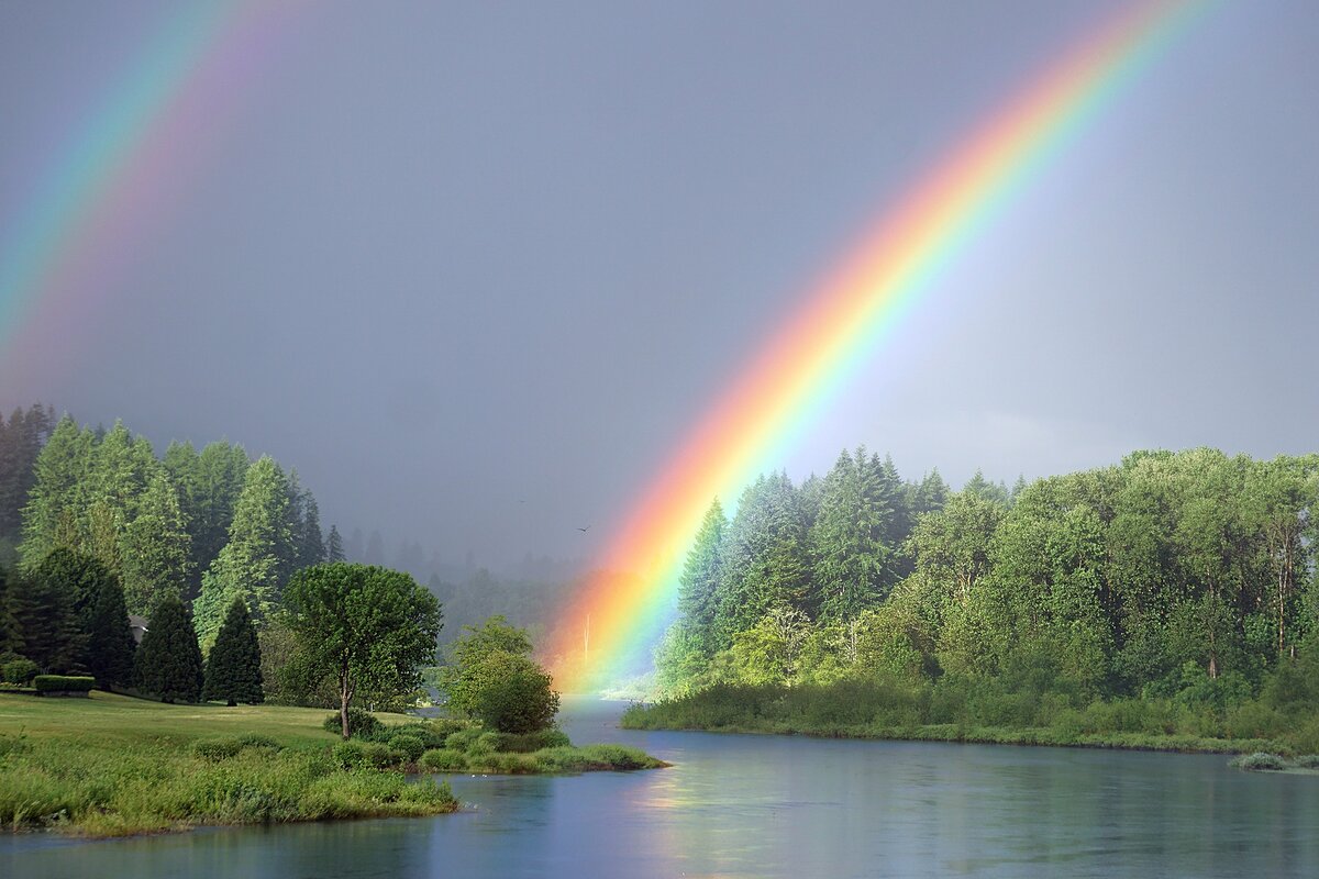 Изображение sharonjoy17 с сайта Pixabay