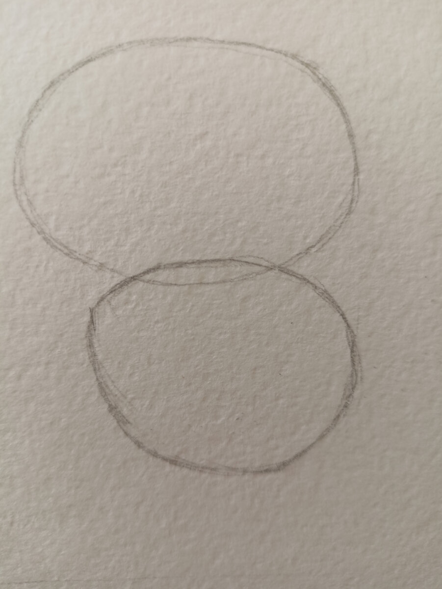 Голова и туловище