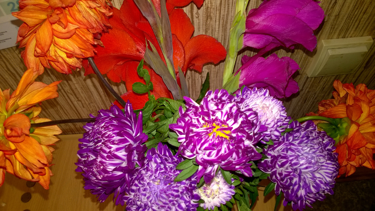 Фото автора.