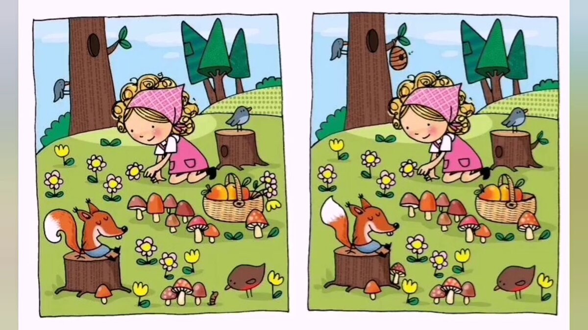 Яндекс картинки. При желании - можно потренировать внимание. 