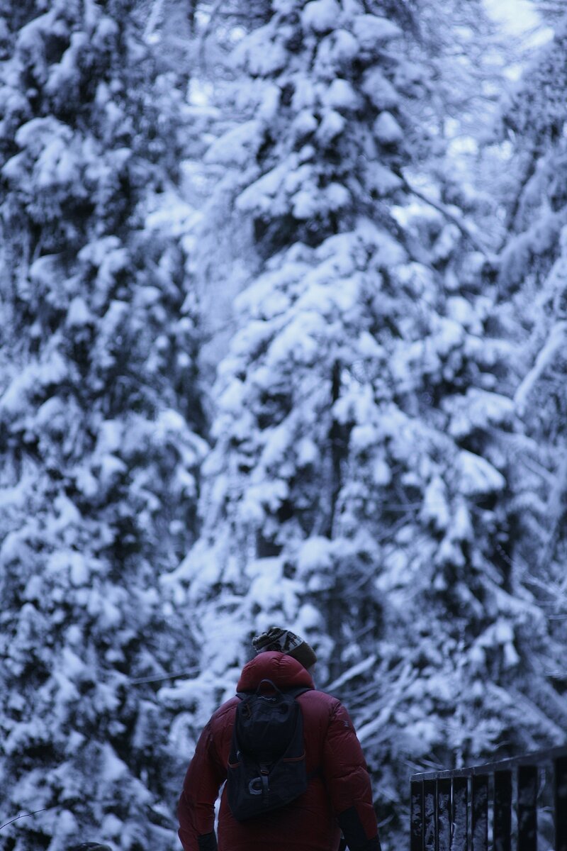 Фото автора @artemy.muller: Pexels.com