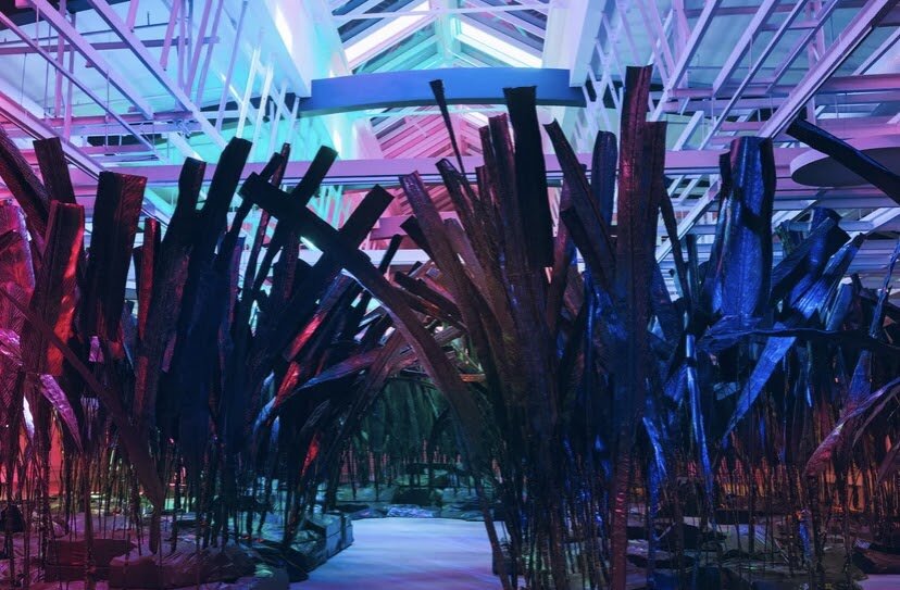 Фото: Источник сайт Triumph Gallery