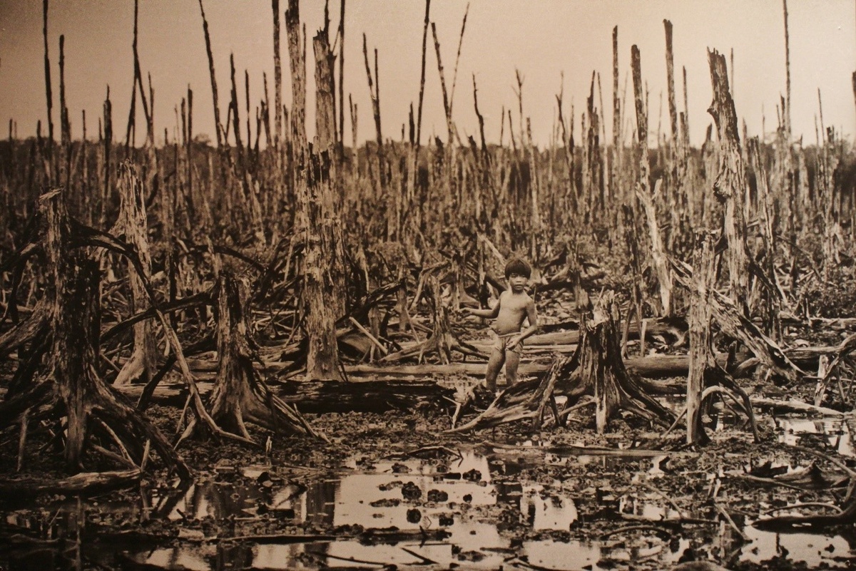 Вот так выглядели леса после «оранжевого агента» во Вьетнаме.