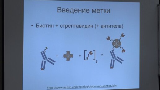 Фенюк Б. А. - Методы исследования единичных биомолекул - Лекция 8