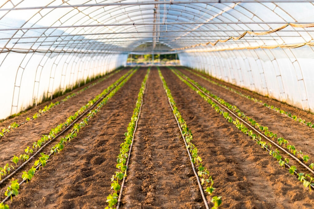 Фундамент для теплицы