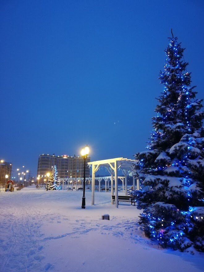 Волгоград. Декабрь, 2021. Фото автора