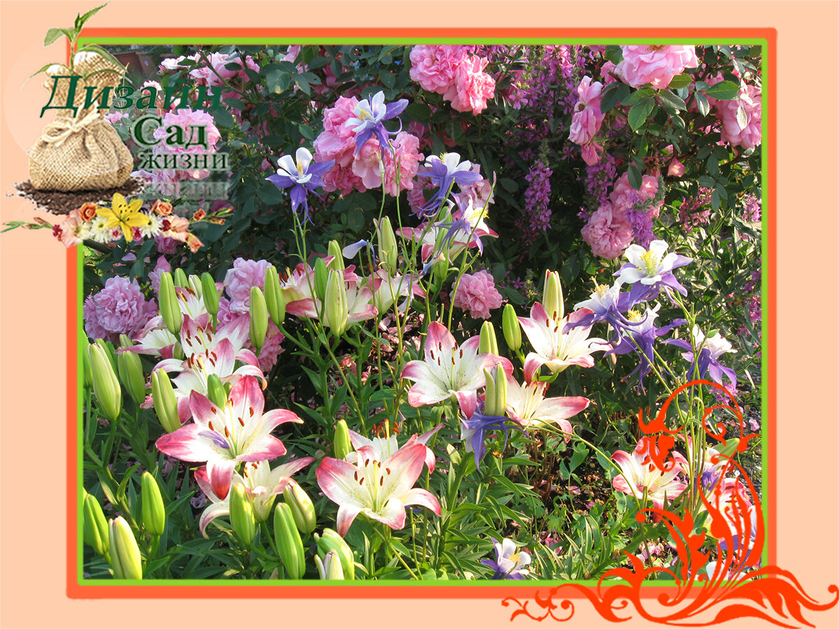 10 композиций с Лилиями