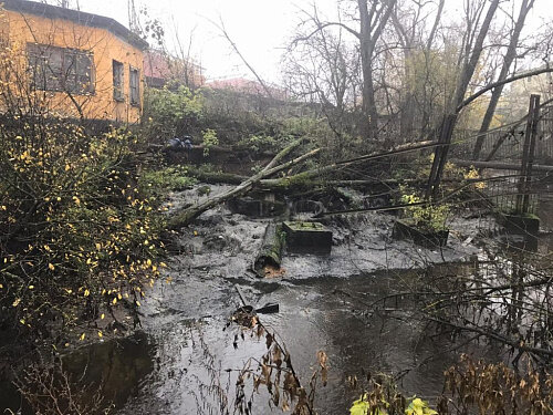 фото: пресс-служба Росприроднадзора