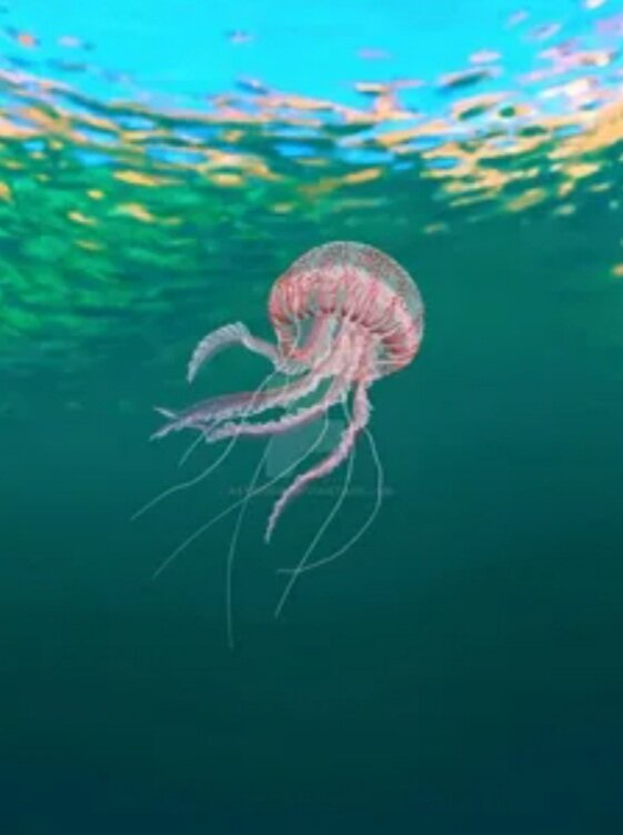 Фото из инета