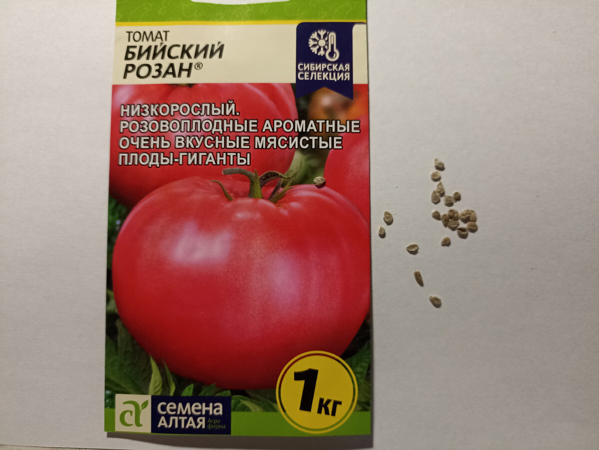 Визуально проверяю качество семян. Фото автора