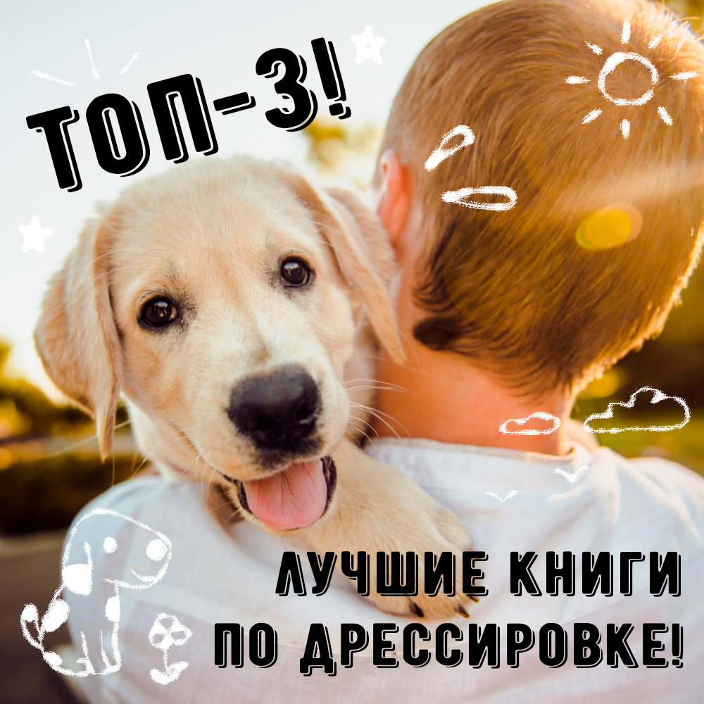 ТОП-3 лучших книг о том, как правильно дрессировать и воспитывать собаку!