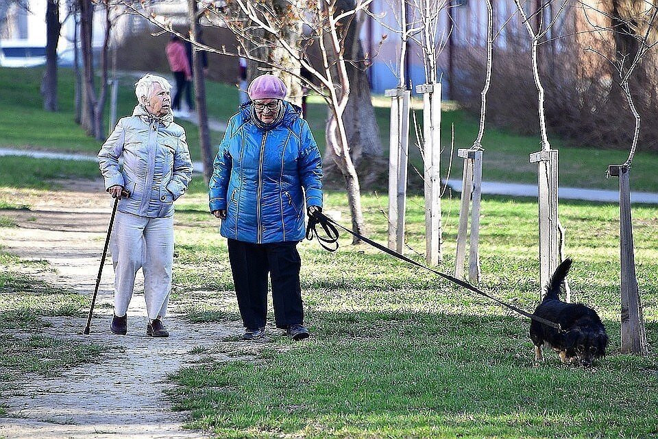     В ПФР сократилось число пенсионеров, стоящих на учете Иван МАКЕЕВ