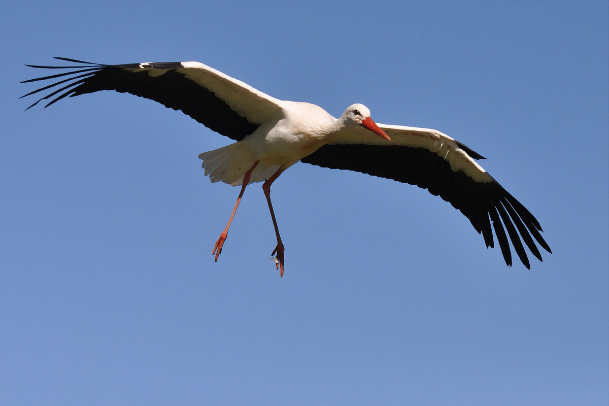 фото Яндекс картинки