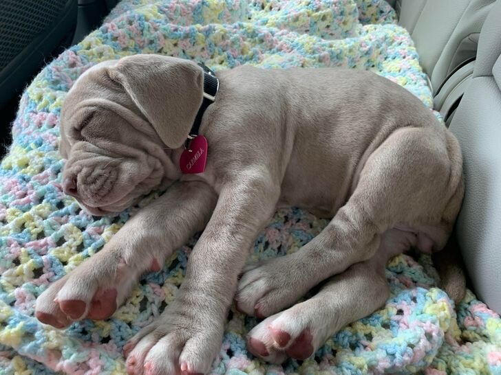 © Jimbeaug / reddit