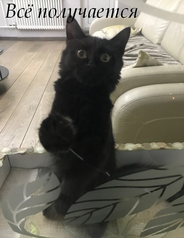 Смотрит проникновенно