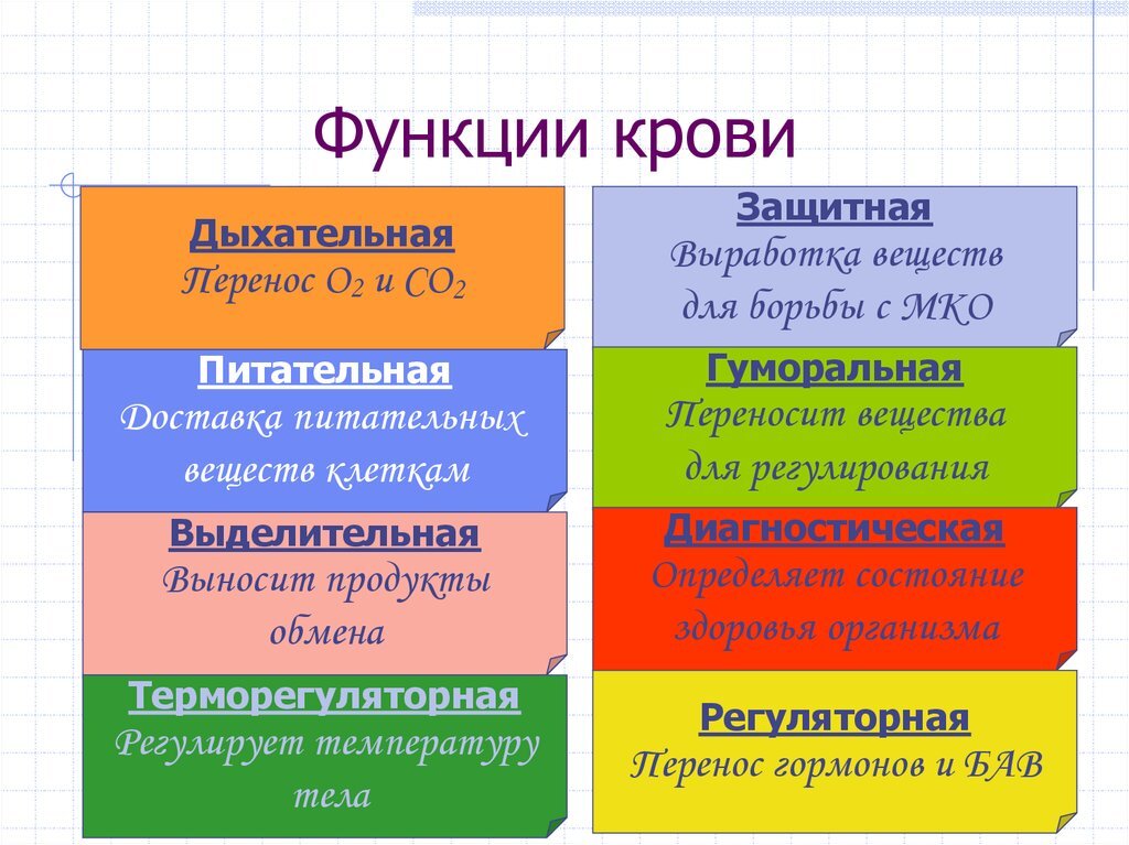 Заполните таблицу функции крови