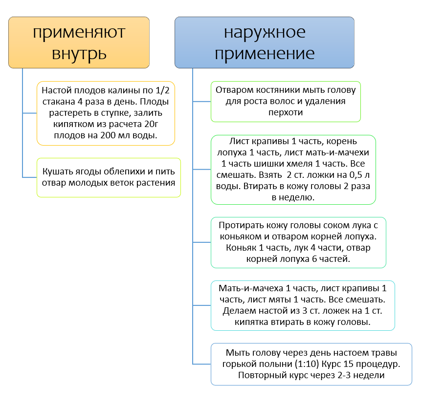 Изображение выполнена самостоятельно в программе SmartArt и Paint