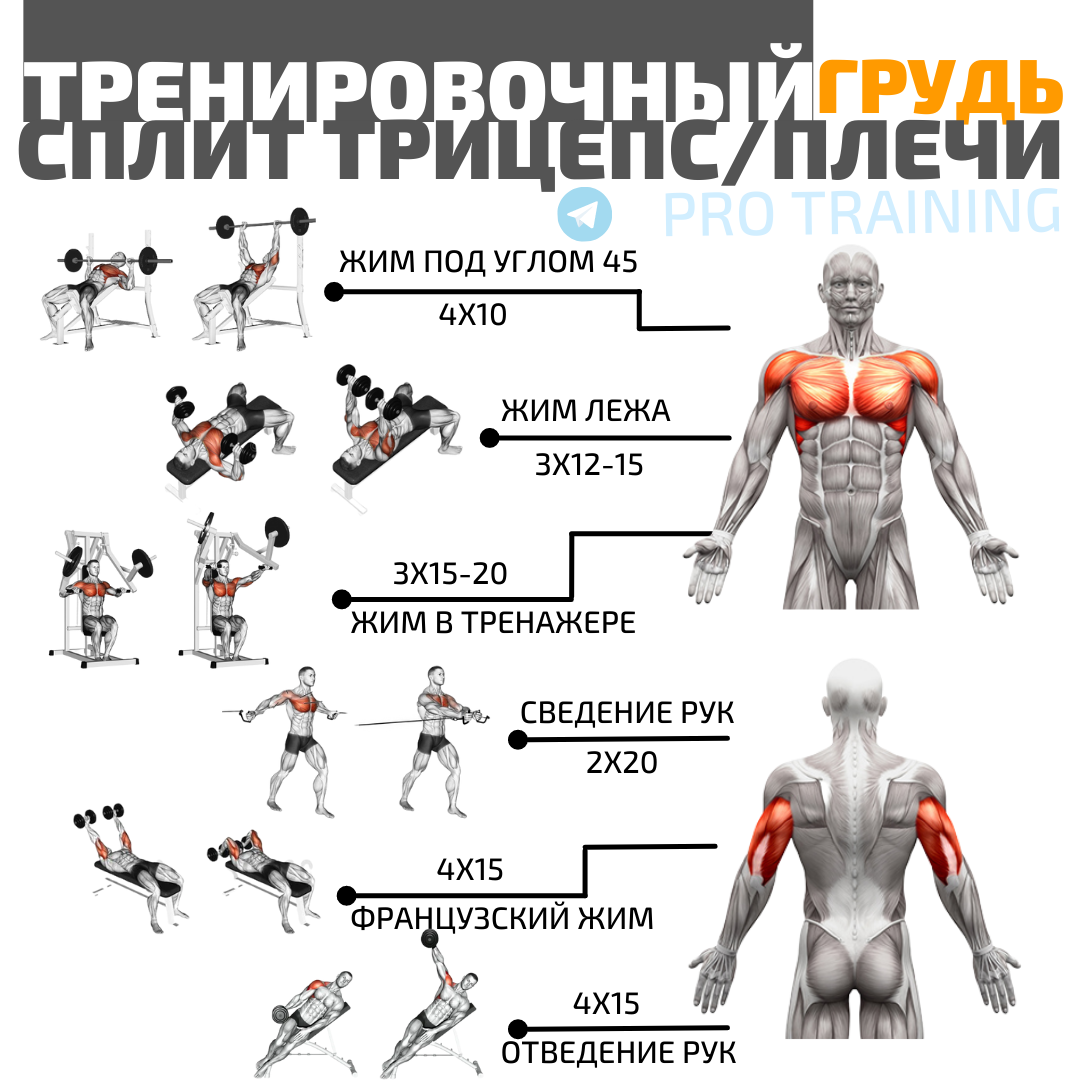 Тренировочный сплит для набора мышечной массы. Подробная программа  тренировок | Томаш Игорь | Pro Training | Дзен