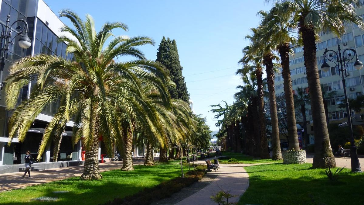 город Сочи.