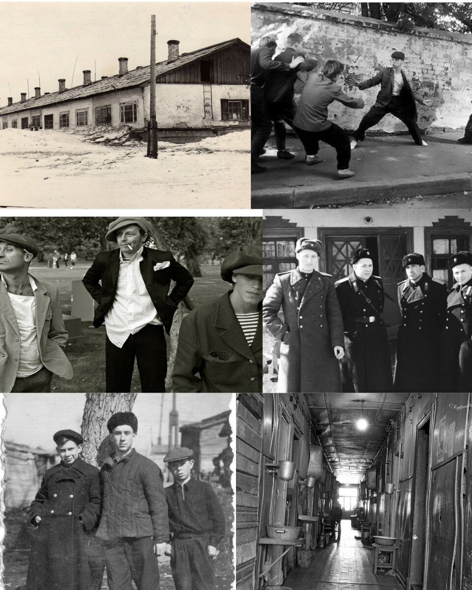 коллаж для примера.