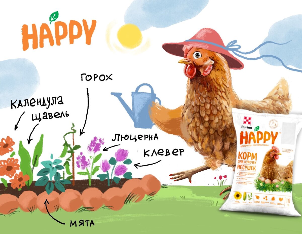 Посейте для кур полезные травы – они будут очень рады!