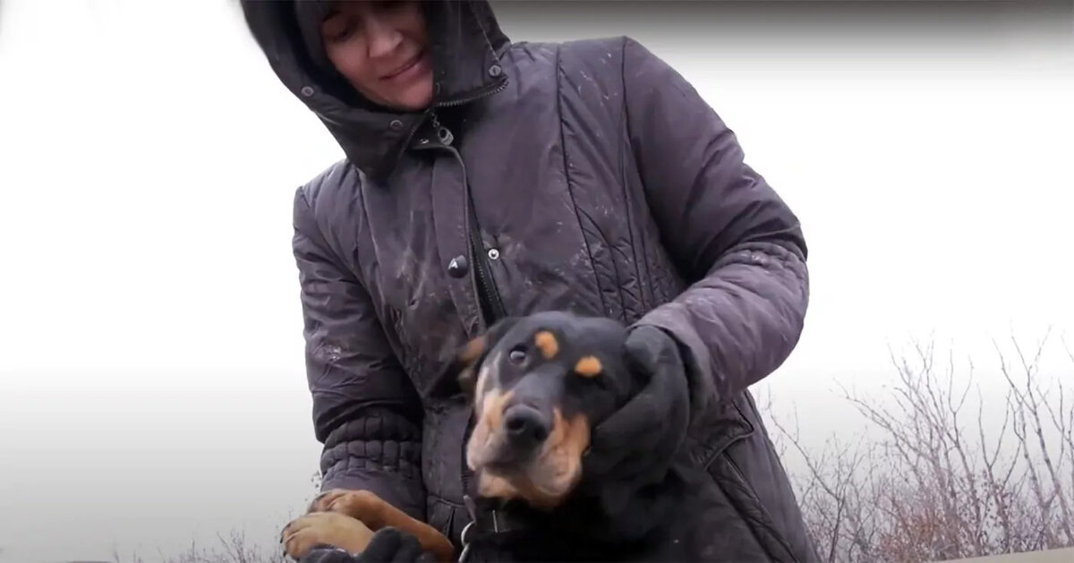 Ольга Фадеева с питомцем из приюта бездомных животных 
