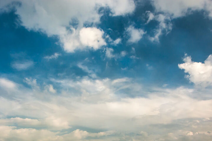 Фото: ru.freepik.com 