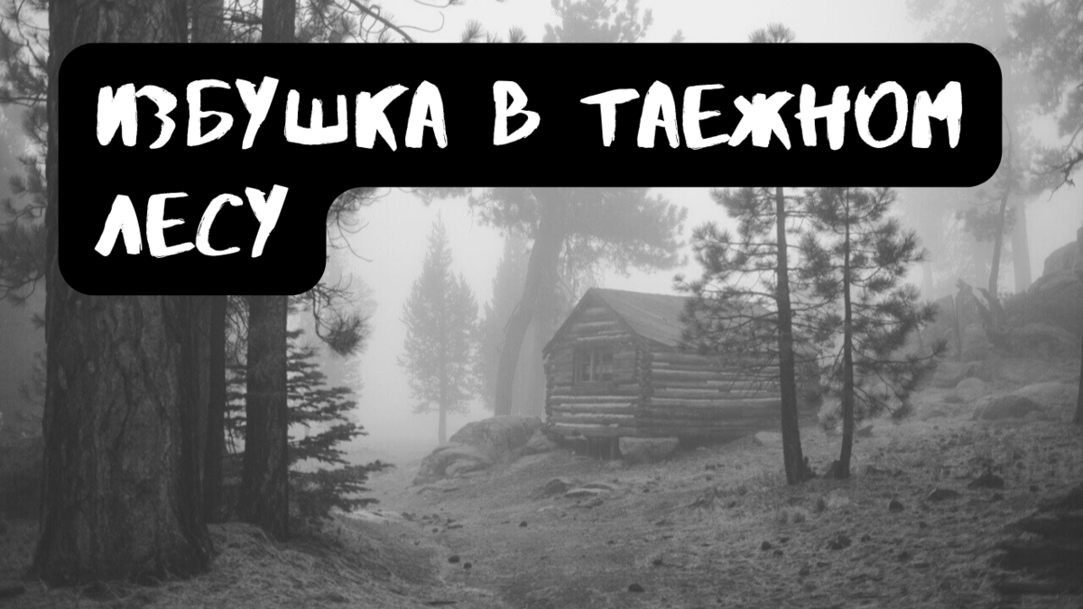 Избушка в лесу | Страшилки от Чеширки | Дзен