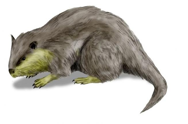 рисунок доисторического бобра