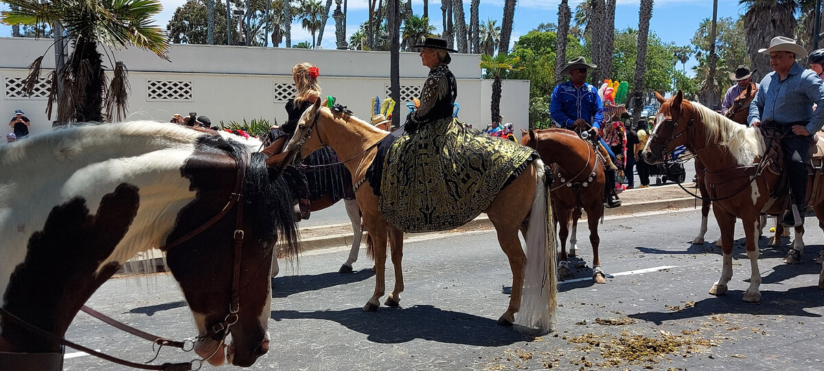 Какая прекрасная леди. Фото из личного архива автора.