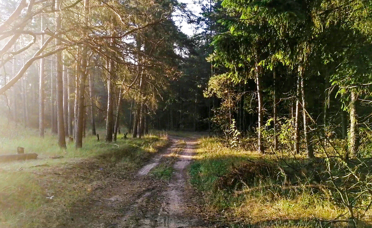 Фотография автора статьи.