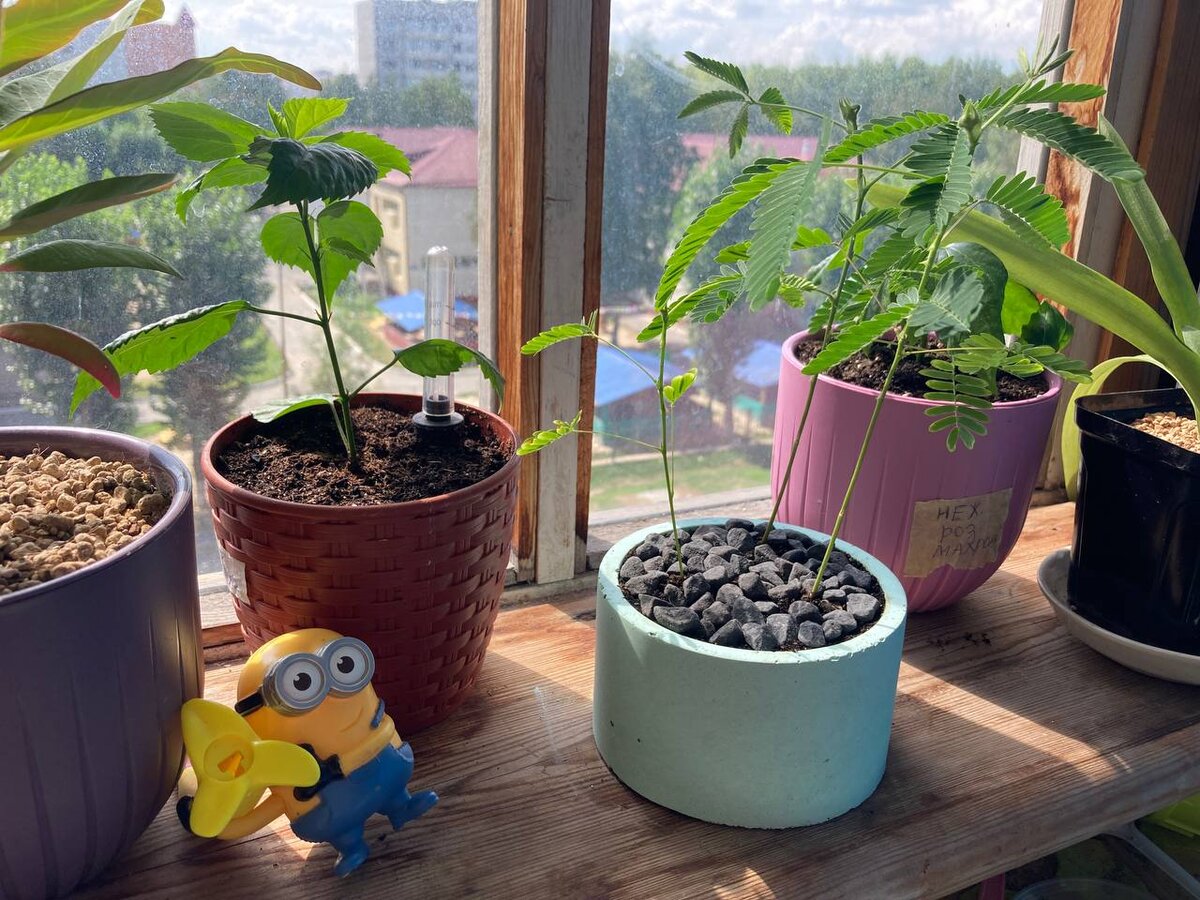 Бетонное кашпо из подкрашенного бетона