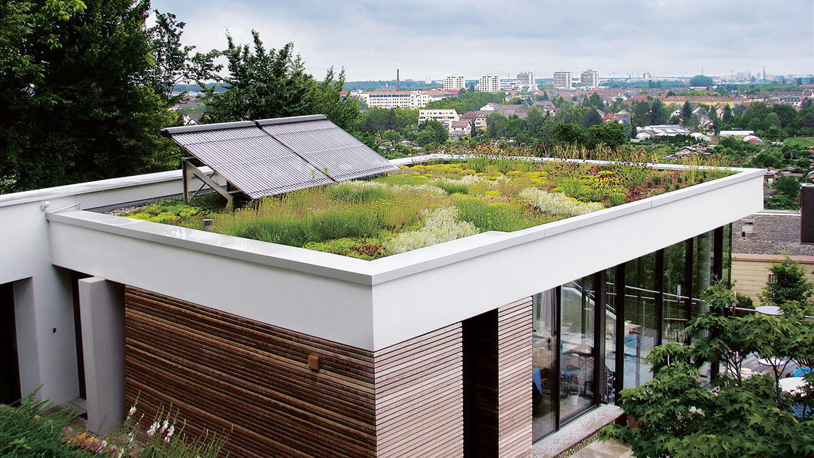 Сад на крыше