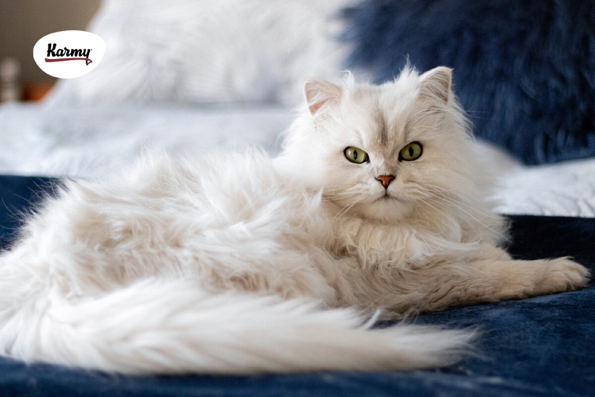 Авторское изображение с использованием картинки с фотостока "Unsplash" 