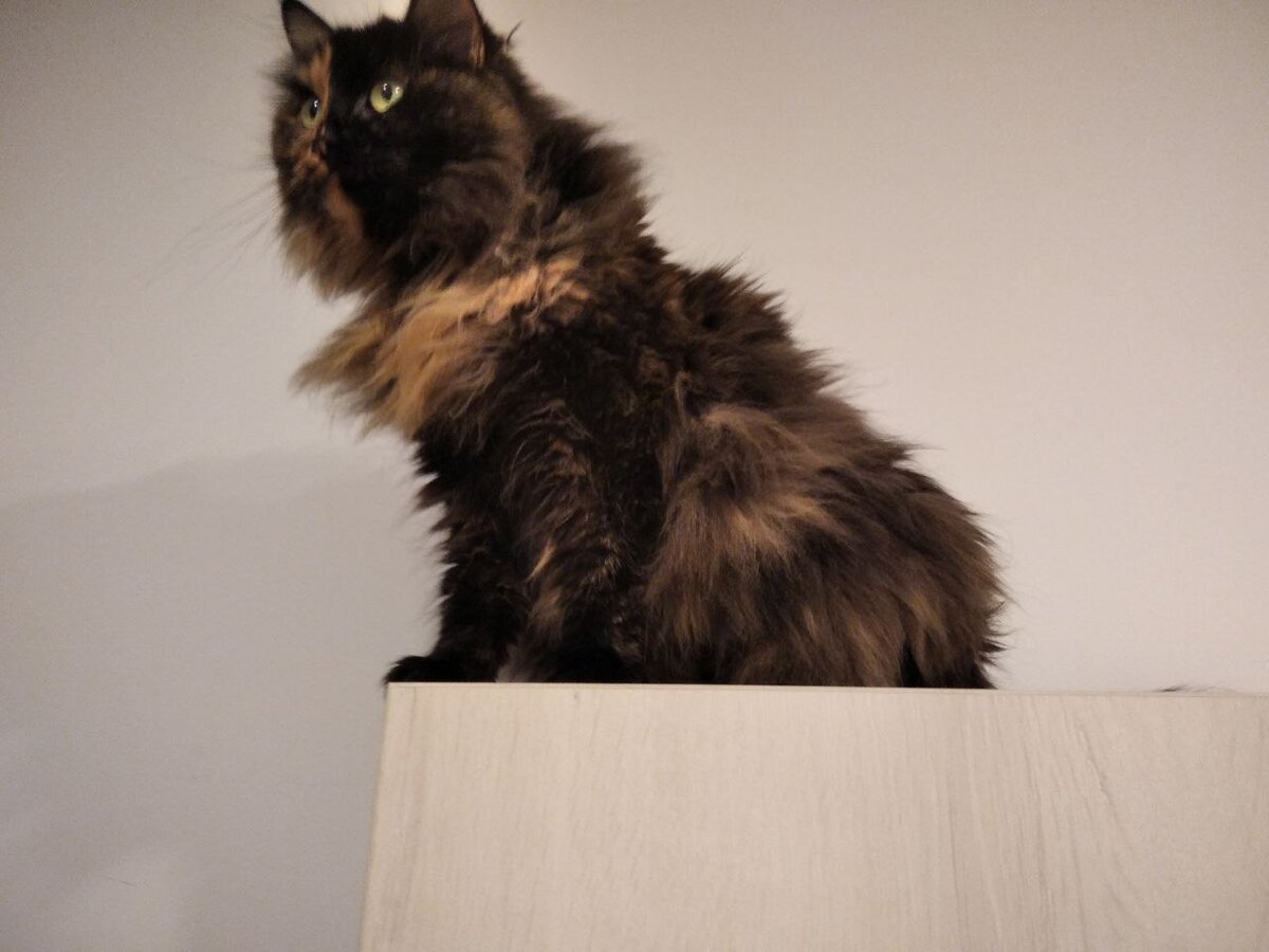 Маруся на своем нп...